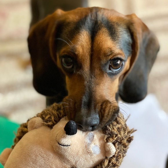 Meet your Posher, Stephanie - Picture 2 of 16